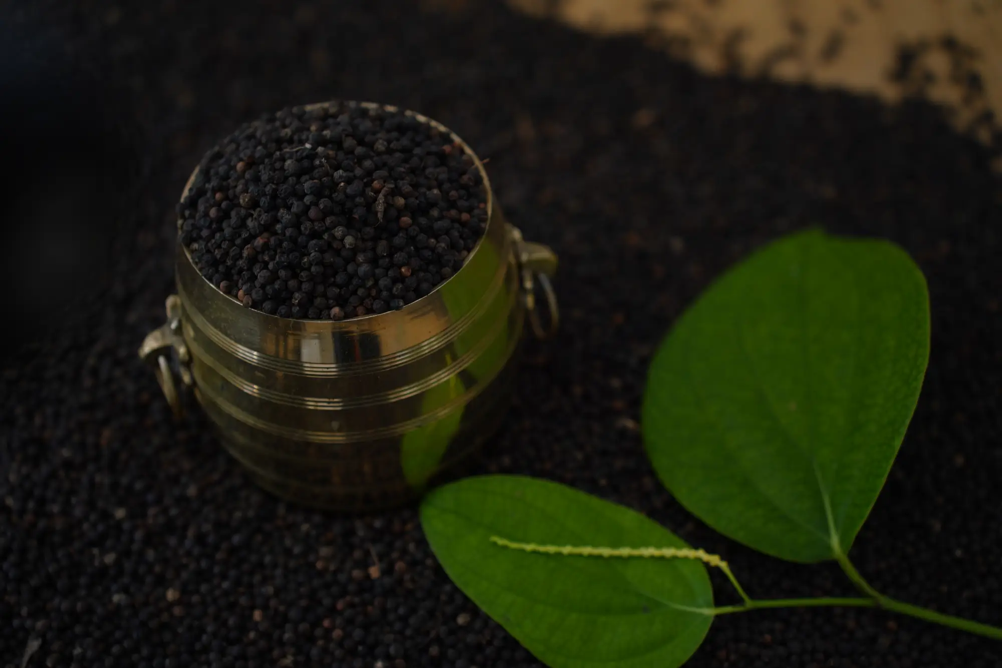 Black Pepper